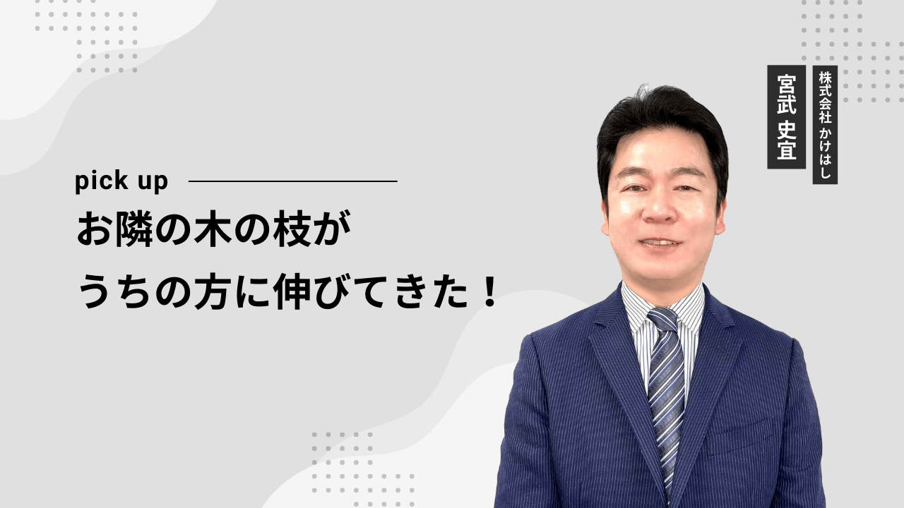 お隣の木の枝がうちの方に伸びてきた！