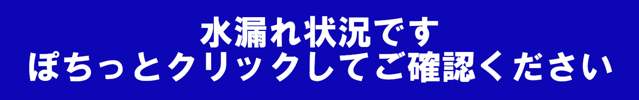 訳あり空き家（土浦市烏山）水漏れ状況動画帯