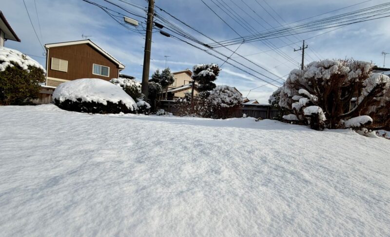 2026年2月8日風景