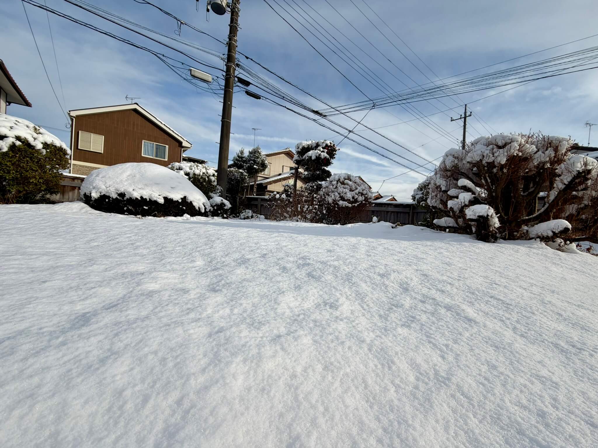2026年2月8日風景