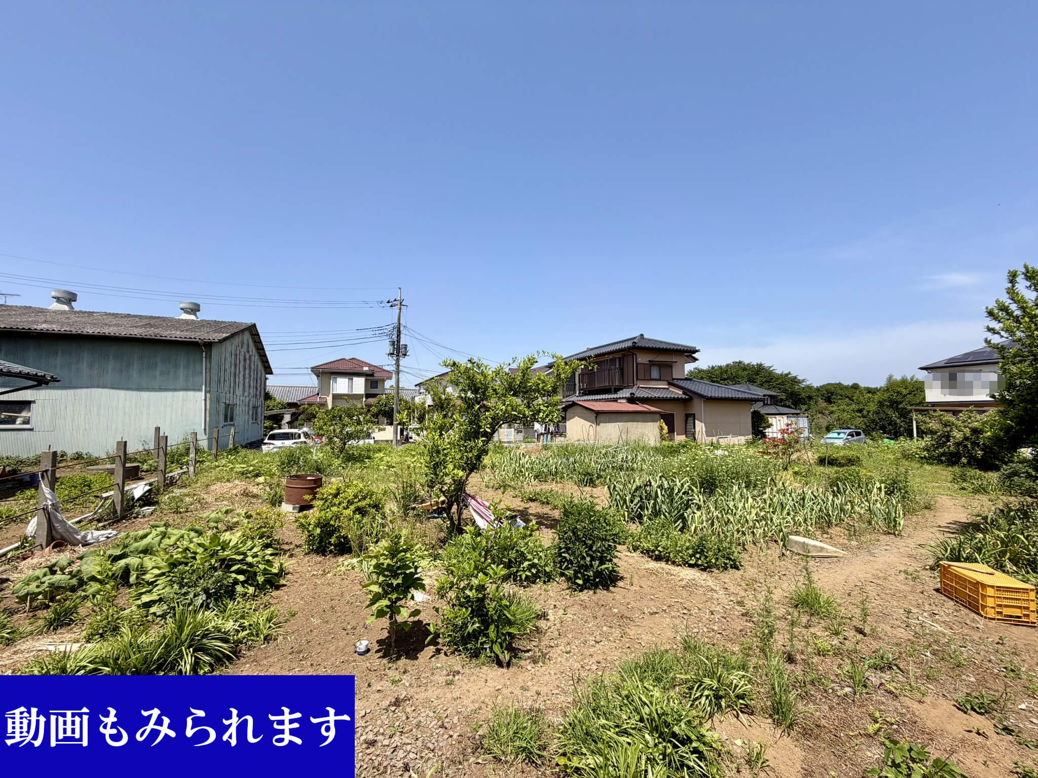 土浦市烏山売地(外観)メイン