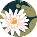 ヒロ profile picture